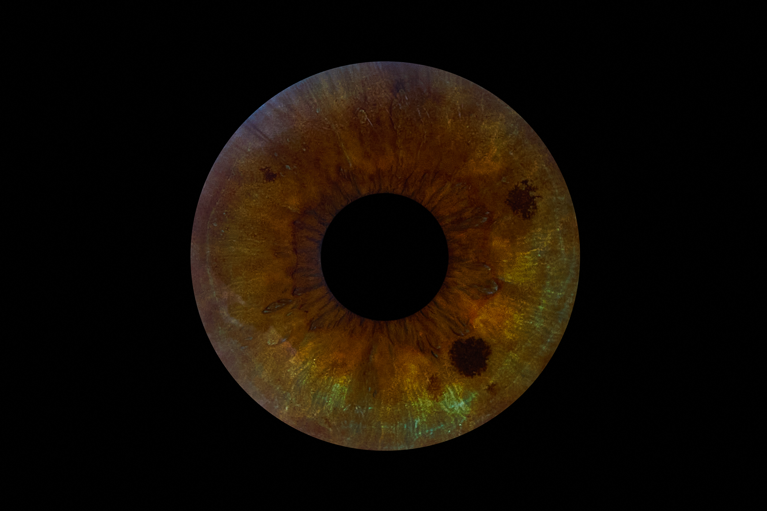 Iris-Kunstwerk von Bianca